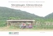 CIAT’s Strategic Directions - gov.uk · 2016-08-02 · CIAT’s Strategic Directions Geoffrey Hawtin Gordon MacNeil Ruben G. Echeverría ... tropical forages, can improve soil fertility