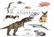 GUIDE TO GOD'S ANIMALS Sample - My Father's Worldtyrannosaurus rex-the "tyrant lizard" 70 pterosaurs-"winged lizards" 72 extinct marine reptiles 7 4 fossilized animals 76 what animals