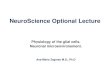 NeuroScience Optional Lecture - Fiziologie · NeuroScience Optional Lecture Physiology of the glial cells. Neuronal microenvironement. Ana-Maria Zagrean M.D., Ph.D . Cellular diversity