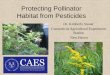 Protecting Pollinator Habitat from Pesticides · Recommendations to protect pollinator habitat 2. Habitat considerations • Identify fields, orchards, or landscapes where pesticides