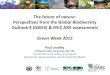 The future of nature: Perspectives from the Global Biodiversity Outlook ...ec.europa.eu/environment/archives/greenweek2015/material/present… · Perspectives from the Global Biodiversity