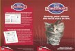 Giving your kitten the best start in life stage Kitten leaflet.pdfdesigned to help you care for your kitten and be the best owner she could ever wish for. So read on and get ready