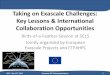 Taking on Exascale Challenges: Key Lessons & International ... EU HPC... · Taking on Exascale Challenges: Key Lessons & International Collaboration Opportunities Birds-of-a-Feather