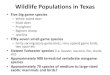 Wildlife Populations in Texas - Watershed Planningwatershedplanning.tamu.edu › ... › mwagner-wildlife-populations-in-te… · Wildlife Populations in Texas • Five big game species