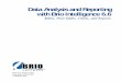 Data Analysis and Reporting with BrioQuery 6 · 2009-10-19 · Data Analysis and Reporting with Brio Intelligence 6.6 is written for all levels of Brio Intelligence users, from those