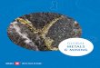 GLOBAL METALS & MINING - marchesdescapitaux.bmo.com › media › ckeditor › 2019 › 07 › … · Global Metals & Mining Conference Now marking its 28th year, the BMO Capital