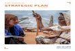 IOM SOMALIA STRATEGIC PLAN · “whole-of-government” approach; and, engagement with partners to address migration and related issues. Towards achieving this final objective, and