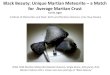 Black Beauty: Unique Martian Meteorite â€“ a Match for ... ... Martian meteorites. Multiple igneous