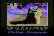 Enchantment Designs | 980-292-1250 | … · 2020-01-14 · Wedding Packages Wedding photography is based on the customer’s needs and can be customized. All packages will have an
