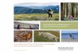 Sustaining Our Natural Heritage For Future Generations · 2017-05-11 · Biodiversity Conservation Strategy: Sustaining our Natural Heritage for Future Generations. Three years ago