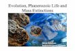 Evolution, Evolution, PhanerozoicPhanerozoic Life Life and ...thorne/EART204/Lecture_PDF/lecture11.pdf · Evolution, Evolution, PhanerozoicPhanerozoic Life Life and and M E ti ti