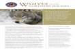 Wolves IN THE - Defenders of Wildlife · for wolves in the Rocky Mountain region that did not include reintroduction to Yellowstone National Park. • Brought “Wolves and Humans,”