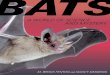 A WORLD OF SCIENCE AND MYSTERY › dam › ucp › books › pdf › ...Bats A World of Science and Mystery M. Brock Fenton And nAncy SiMMonS There are more than 1,300 species of bats—or
