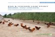 EGG & CHICKEN CASE STUDY BEIJING YOU CHICKEN€¦ · EGG & CHICKEN CASE STUDY BEIJING YOU CHICKEN Sustainable and organic egg and chicken meat production ... between 2009-2012 during