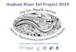 Hudson River Eel Project 2019 Data - New York State ...€¦ · Hudson River Eel Project 2019 Data Author: NYSDEC Hudson River National Estuarine Research Reserve and Hudson River