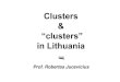 Prof. Robertas Jucevicius - search.oecd.org · Prof. R. Jucevi ius - Lithuania 2 Clusters & “clusters” in Lithuania Clusters are geographic concentrations of interconnected companies