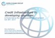 Credit Infrastructure in developing countries UN... · Capital Stock of Firms Collateral Taken by Financial Institutions ... establish modern and centralized electronic registries