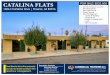 CATALINA FLATS FOR SALE: $525,000€¦ · CATALINA FLATS FOR SALE: $525,000 • Excellent Midtown Location • New Roof (2018) • New HVAC (2018) • Gated Parking • Easy Management