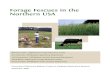 Forage Fescues in the Northern USA - Center for Integrated ... · Forage Fescues in the Northern USA Michael Casler, Ken Albrecht, Jeff Lehmkuhler, ... toxic or animal friendly—on