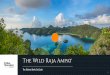 The Wild Raja Ampat - Explore The Coral Triangle by Yachtcoraltrianglesafaris.com/wp...THE-WILD-RAJA-AMPAT-e...Scuba Diving Course Raja Ampat scuba diving has gained a reputation as