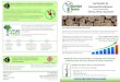 › images › factsheet_03.pdfOur stock: is grown from seed from Orchards 2 and 5. riteria for inclusion Future Trees Trust 2016: a ‘seed orchard’, where all clones contribute