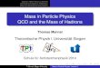 Mass in Particle Physics QCD and the Mass of Hadrons · Mass in Particle Physics QCD and the Mass of Hadrons Thomas Mannel Theoretische Physik I, Universität Siegen q e f t Schule