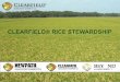 CLEARFIELD® RICE STEWARDSHIP...2009 Stewardship Rdi 1In-Season CLEARFIELD® Rice Production Recommendations Apply 2 applications of Newpath® herbicide as labeled. Do not skip 2nd