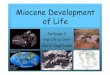 Miocene Development of Life - University of Icelandoi/Historical Geology pdf/Fyrirlestur 8... · Miocene (20-30 MY ago) of Europe. Cephalogalegave rise to a lineage of early bears,