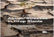 Abiotic Stresses in Crop Plants - old - Vitti et al - Chapter Trichoderma CABI.pdfAbiotic stresses, mainly due to changing climatic conditions, provide the main challenge to sustainable