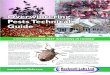 Overwintering Pests Technical Guide - rockwelllabs.com...Overwintering Pests Technical Guide Following these prevention tips and pest control measures will help to limit insect access
