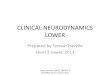 CLINICAL NEURODYNAMICS LOWER - orthodiv.org...•Neurodynamic Testing: abnormalities in ND testing less significant than abnormalities of the interface except for severe cases •Need