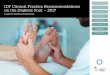 IDF Clinical Practice Recommendations on the Diabetic Foot ... · Diabetic foot is one of the most serious and costly complications of diabetes. These new IDF Clinical Practice Recommendations