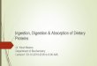 Ingestion, Digestion & Absorption of Dietary Proteinsaiimsrishikesh.edu.in/aiims/document/Biochemistry/Class... · 2019-11-26 · Ingestion, Digestion & Absorption of Dietary Proteins