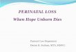 PERINATAL LOSS When Hope Unborn Perinatal Loss Definition: any loss of an infant during pregnancy or