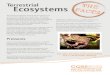 Terrestrial Ecosystems - CQSS2030cqss2030.com.au › wp-content › uploads › 2014 › 10 › FBA-Terrestrial … · Terrestrial Ecosystems Terrestrial ecosystems include all the