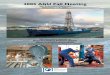 2005 AGU Fall Meeting - Consortium for Ocean Leadershipoceanleadership.org › files › AGUbinder.pdf · GP13A Rock Magnetism: Fundamentals and Frontiers III Posters Mon. PM 1 GP21A