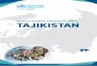 WORLD HEALTH ORGANIZATION in TAJIKISTAN - WHO/Europe | Home · Commission, supporting good governance in the health sector; and USAID and the UNPRPD, supporting Tajikistan’s disability