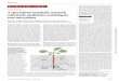 A specialized metabolic network selectively …...A specialized metabolic network selectively modulates Arabidopsis root microbiota Ancheng C. Huang*, Ting Jiang*, Yong-Xin Liu, Yue-Chen
