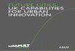 Future Cities: uK Capabilities For urban innovation€¦ · 19th century water and transport infrastructure to meet 21st century needs, Luanda and Dhaka are running new electricity