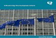 Influencing the European Union - IES · IES u REPORT Influencing the European Union 2 IES u REPORT Influencing the European Union Influencing the European Union 3 The IES is committed