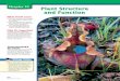 Chapter 23: Plant Structure and Function · Plants Cells and Tissues Make the following Foldable to help you compare the types of plant cells and tissues. Plant cells Plant tissues