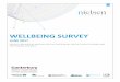 Canterbury Wellbeing Survey Report June 2017€¦ · work, which was subsequently delegated to the Canterbury District Health Board (CDHB). As time has passed since the Canterbury