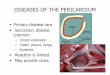 DISEASES OF THE PERICARDIUMpeople.upei.ca/lmiller/2009_CV_Pericardial... · DISEASES OF THE PERICARDIUM •Primary disease rare • Secondary disease common – Direct extension –