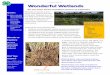 Wonderful Wetlands - UTIA · Wonderful Wetlands Do you know all the wonderful powers of wetlands? A wetland needs three things: soil, plants, and water. The soil in a wetland is saturated