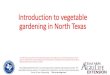 Introduction to vegetable gardening in North Texasdcmga.com/files/2012/10/introduction-to-vegetable-gardening-web.pdfSoil preparation for in-ground vegetable garden Traditional 1