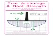 Root Strength & Tree Anchorage 09-1 - Daniel B. Warnell ... · Tree Anchorage & Root Strength by Dr. Kim D. Coder, Professor of Tree Biology & Health Care May 2014 There has been