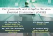Compose-able and Adaptive Service- Enabled Environment (CASE) · Compose-able and Adaptive Service-Enabled Environment (CASE) LTC Chew Lock Pin Hd CPoF, SCME, FSD Division Manager