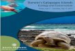 cty.jhu.edu · Darwin's Galapagos Islands Ecology and Conservation Friday, July 7 - Saturday, July 15, 2017 . Author: CTY User Created Date: 8/10/2016 1:26:24 PM 