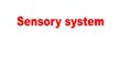 Sensory system - medicinebau.com · Sensory system. Interrelations among the tactile sensations اسسملاا ... Sensory transduction converts the energy of the stimulus into a