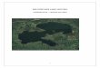 BIG PORTAGE LAKE HISTORY Portage Lake History Booklet July 2… · SUMMER 2015 – updated July 2016 . 2 TABLE OF CONTENTS ... This booklet was compiled June 2015, updated August